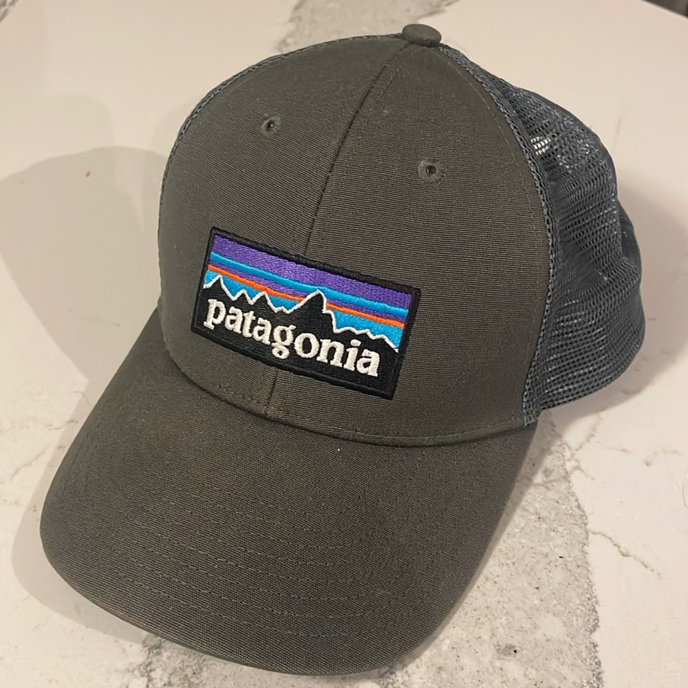 Patagonia snapback hat